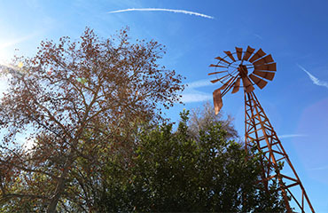 Bob-Quattlebaum-Windmill-Walnut-CA